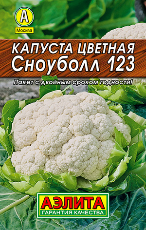 ������� ������� �������� 123