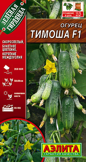 Огурец Тимоша F1 Огурец Тимоша F1