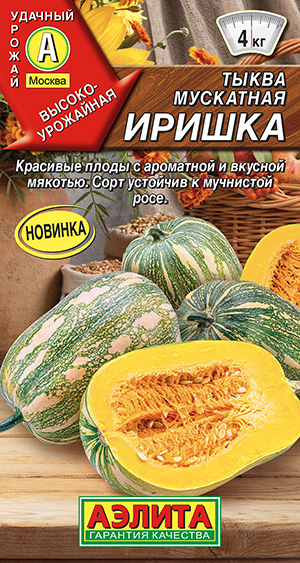 ����� ��������� ������