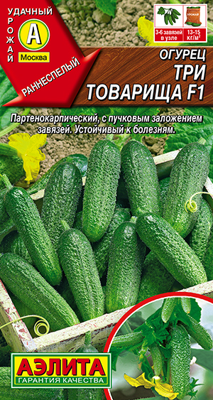 Огурец Три товарища F1 Огурец Три товарища F1