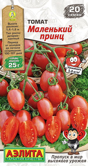 ����� ��������� �����