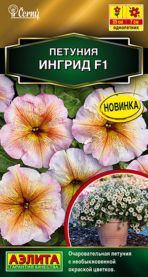 Петуния Ингрид F1 многоцветковая Петуния Ингрид F1 многоцветковая