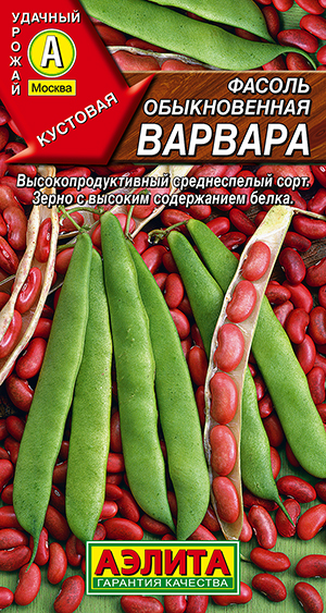 ������ ������������ �������