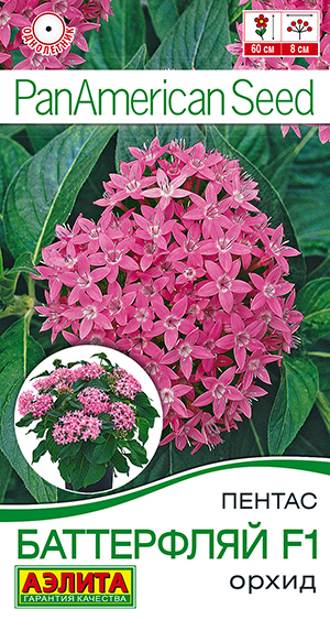 Пентас Баттерфляй F1 орхид Пентас Баттерфляй F1 орхид