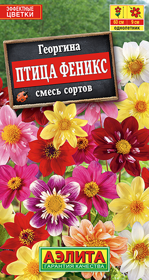 Георгина Птица Феникс, смесь сортов Георгина Птица Феникс, смесь сортов