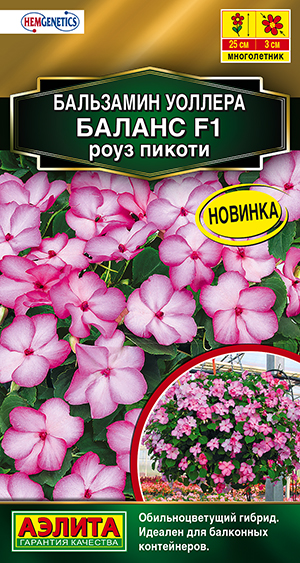 Бальзамин Баланс F1 роуз пикоти Бальзамин Баланс F1 роуз пикоти