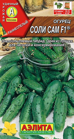 ������ ���� ��� F1