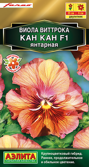 Виола Кан Кан F1 янтарная Виола Кан Кан F1 янтарная