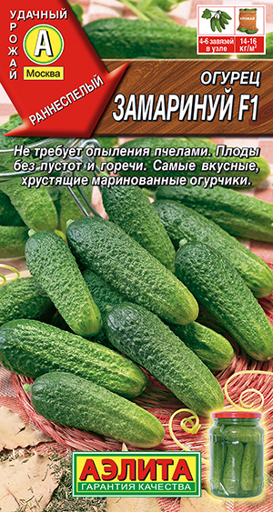 ������ ��������� F1