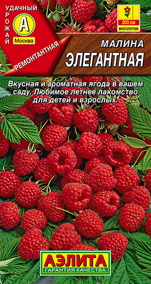 Малина Элегантная Малина Элегантная