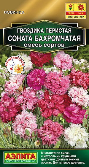 �������� ������ �����������, ����� ������