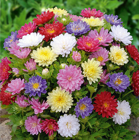 ����� ��������� �������� ����������, ����� ������