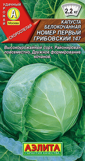 Капуста б/к Номер первый Грибовский 147 Капуста б/к Номер первый Грибовский 147