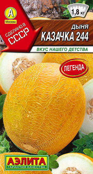 Дыня Казачка 244