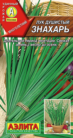 Лук душистый Знахарь Лук душистый Знахарь