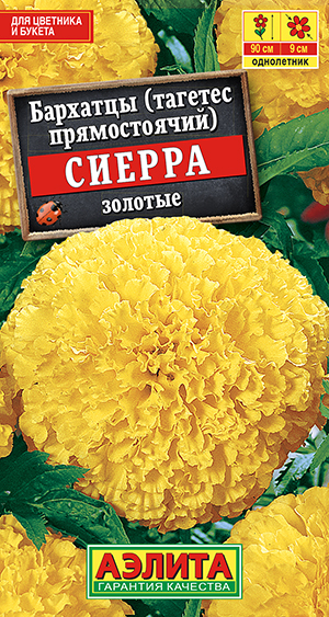 �������� ������ �������