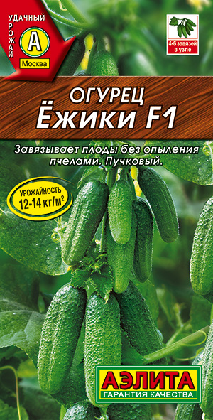 ������ ����� F1