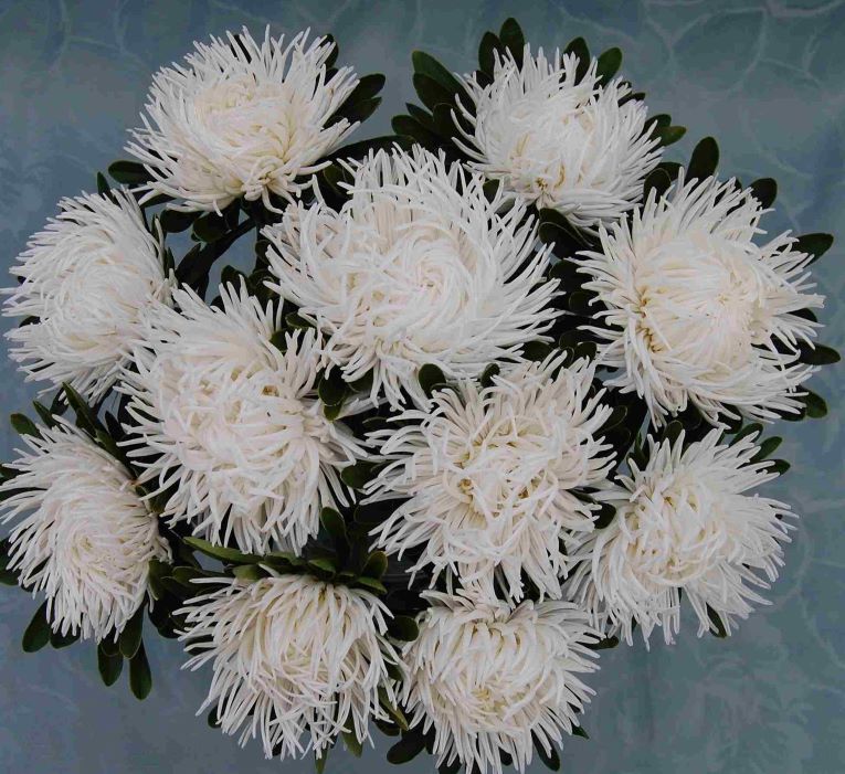 ����� ��������� ������ �����