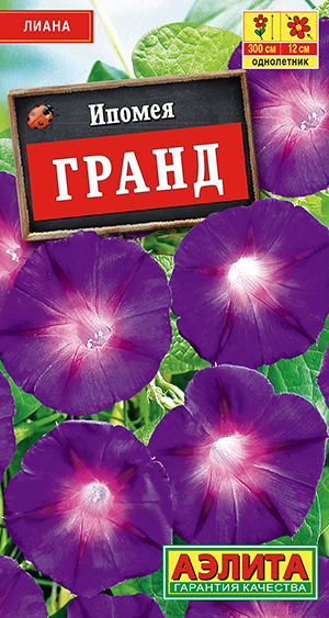 ������ �����