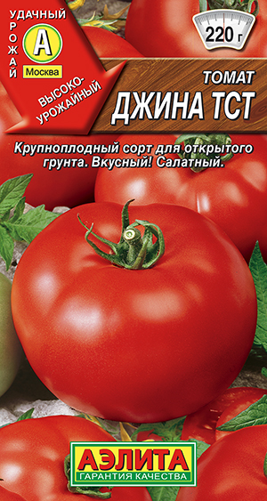 ����� ����� ���