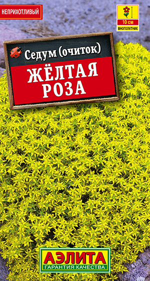 Седум Желтая роза Седум Желтая роза