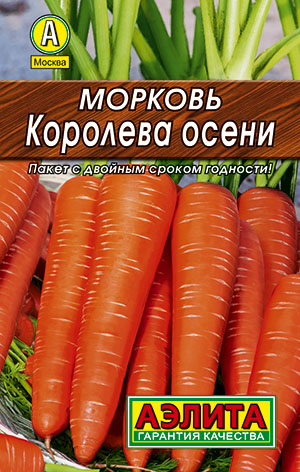 ������� �������� �����