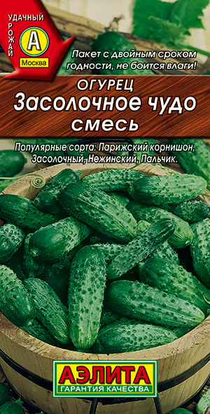 ������ ���������� ����, �����