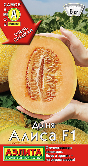 Дыня Алиса F1 Дыня Алиса F1