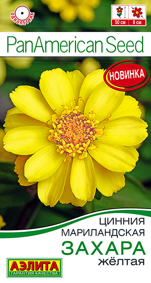 Цинния Захара жёлтая Цинния Захара жёлтая