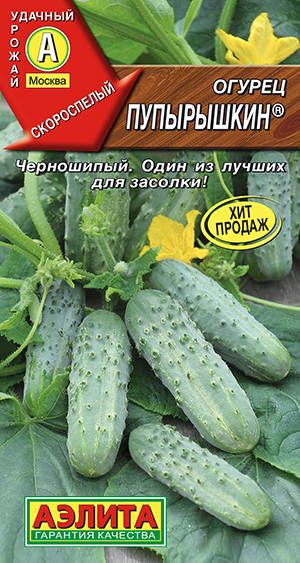 ������ ���������� �