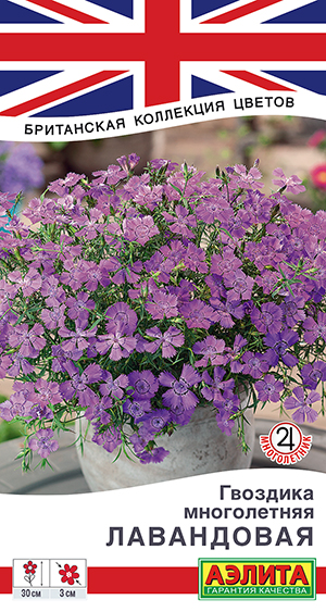 �������� ����������� ����������