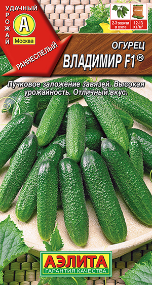 Огурец Владимир F1 ® Огурец Владимир F1 ®