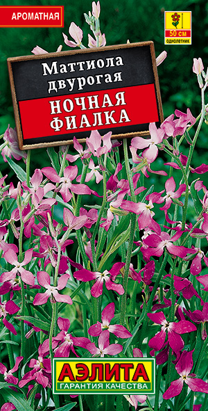 Маттиола Ночная фиалка Маттиола Ночная фиалка