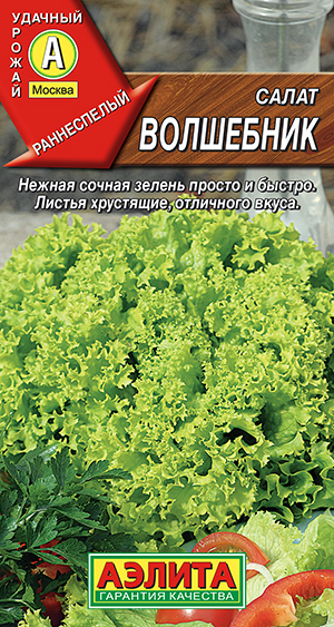Салат Волшебник полукочанный Салат Волшебник полукочанный