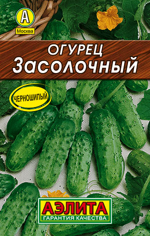 ������ ����������