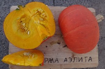 Тыква крупноплодная Осенняя красавица F1 Тыква крупноплодная Осенняя красавица F1
