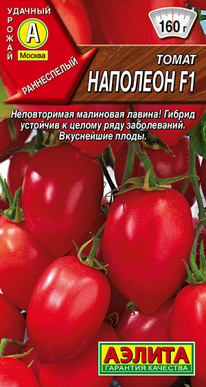 ����� �������� F1