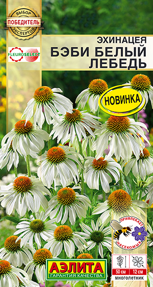 Эхинацея бэби Белый лебедь
