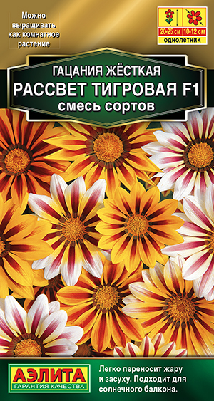 Гацания Рассвет F1 тигровая, смесь сортов Гацания Рассвет F1 тигровая, смесь сортов
