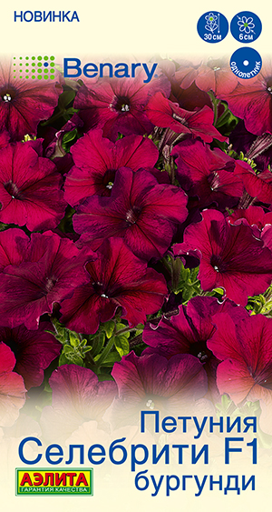 Петуния Селебрити F1 бургунди многоцветковая Петуния Селебрити F1 бургунди многоцветковая
