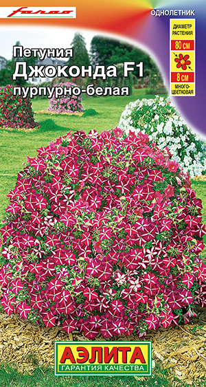 Петуния Джоконда F1 пурпурно-белая Петуния Джоконда F1 пурпурно-белая