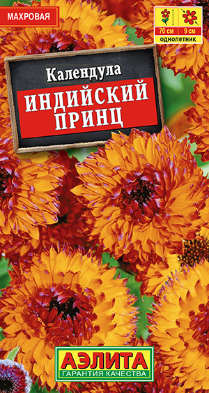 ��������� ��������� ����� ��������