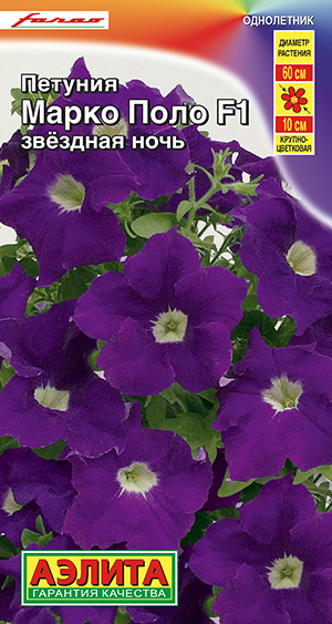 ������� ����� ���� F1 �������� ����