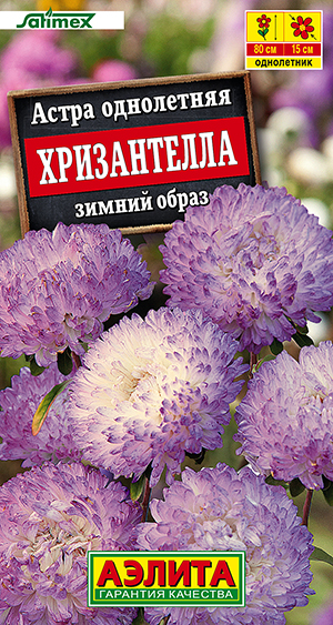 ����� ����������� ������ �����