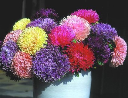 ����� ��������� ������, ����� ������