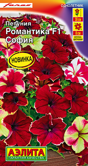 Петуния Романтика F1 софия Петуния Романтика F1 софия