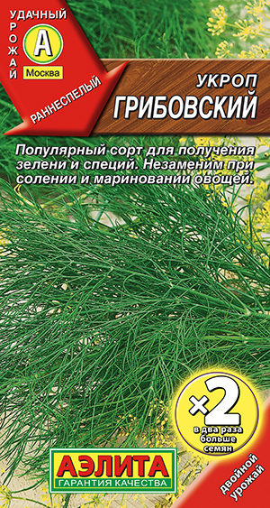 ����� ����������