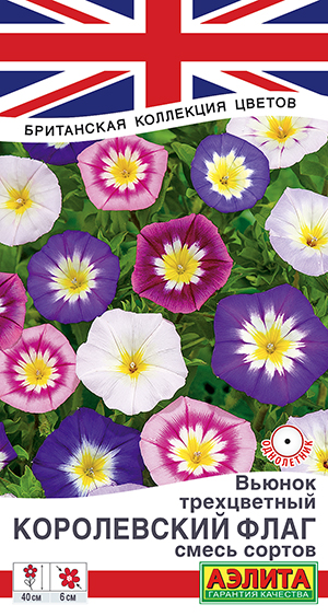 Вьюнок Королевский флаг, смесь сортов Вьюнок Королевский флаг, смесь сортов