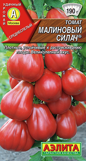 ����� ��������� �����