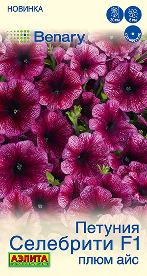 Петуния Селебрити F1 плюм айс многоцветковая Петуния Селебрити F1 плюм айс многоцветковая